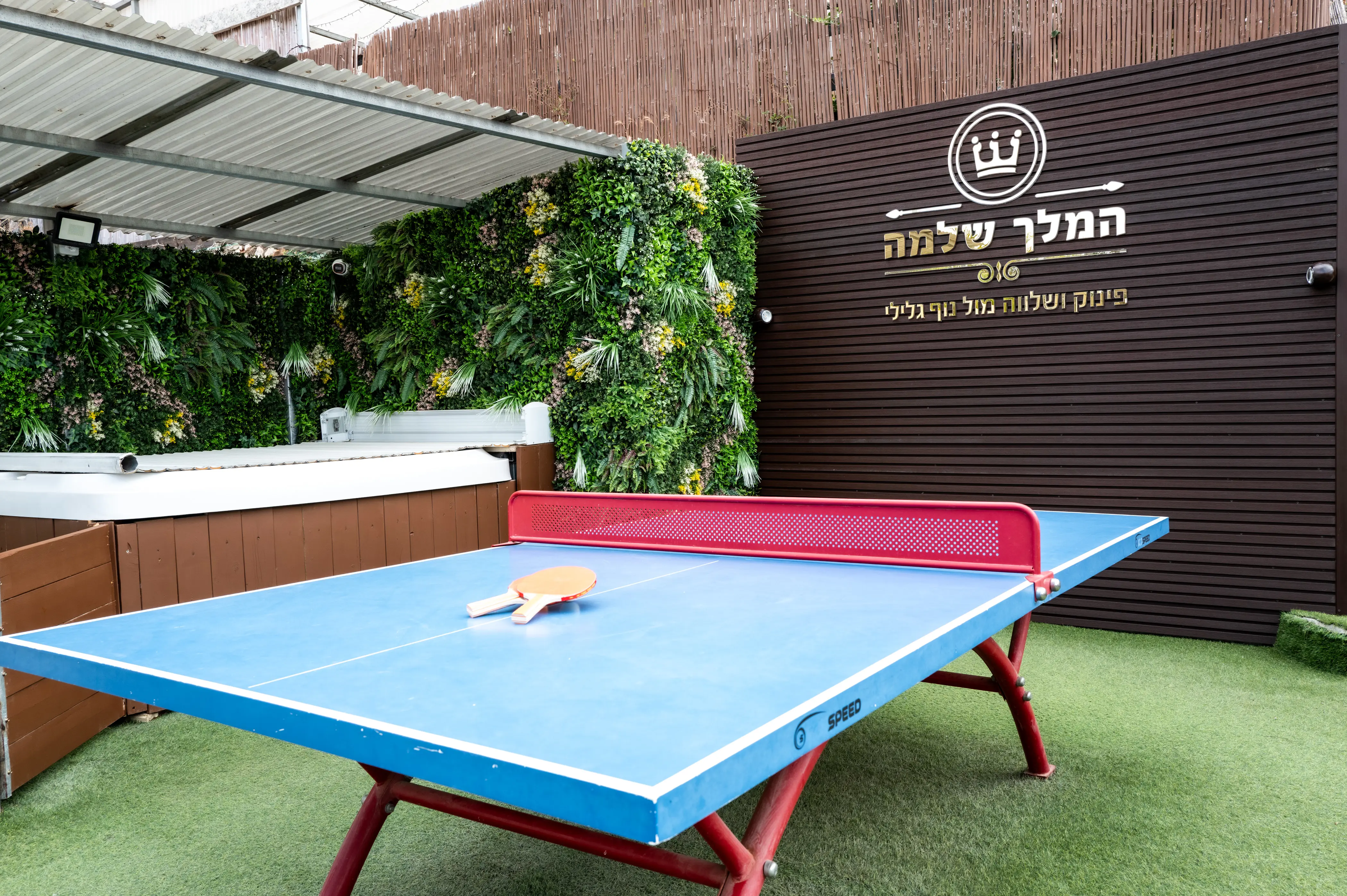 שולחן פינג-פונג בחצר